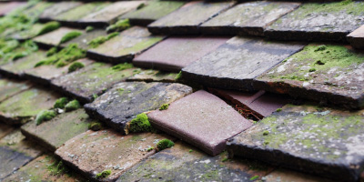 Norton Hawkfield roof repair costs